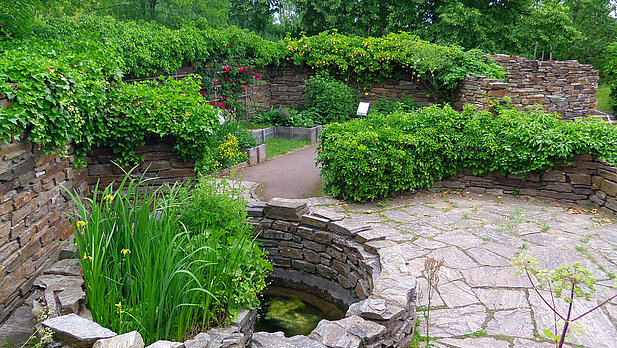 Ansicht des Hexengartens im Britzer Garten